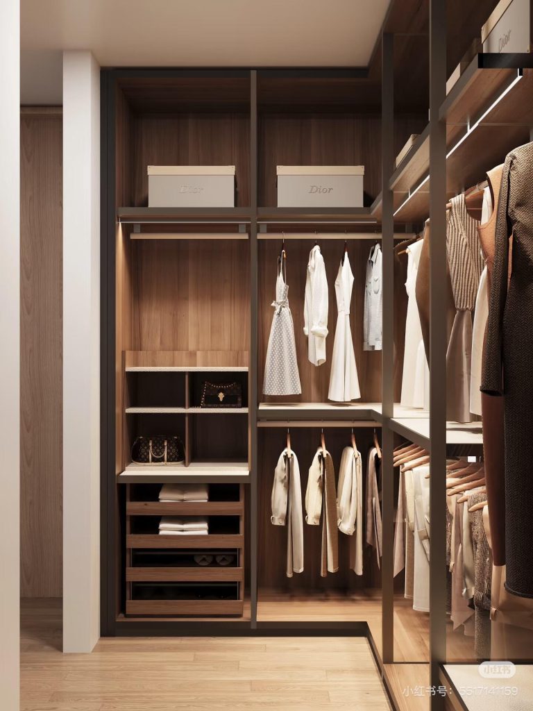 Home dehumidifier for walk in closet moisture control