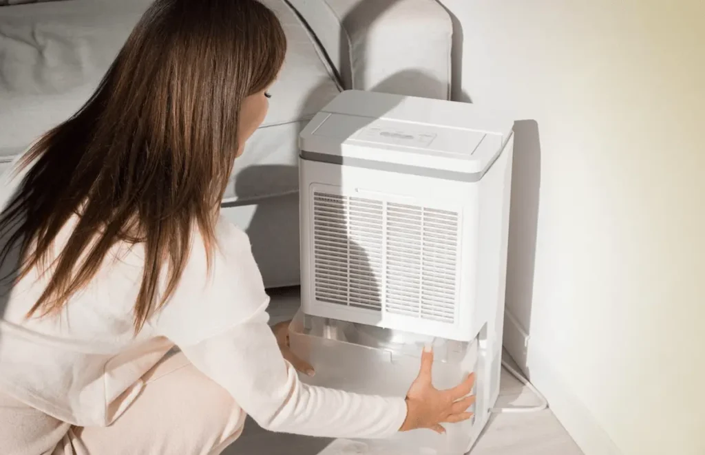 top dehumidifier manufacturers in USA